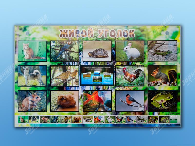 доступ среда 4.jpg