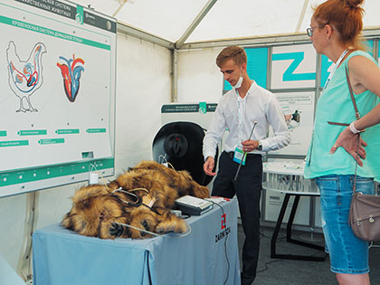 420х315 P1170630.jpg