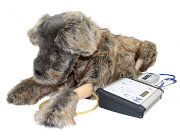 Инновационная разработка ПО "Зарница" в сфере ветеринарии