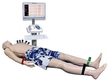 Комплект высокотехнологичного учебного оборудования по медицине для ГБПОУ "Нерюнгринский медицинский колледж"