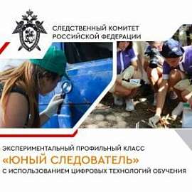 Юный следователь